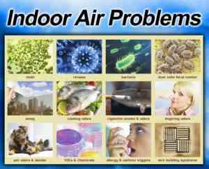 Indoor-air-quality-problems