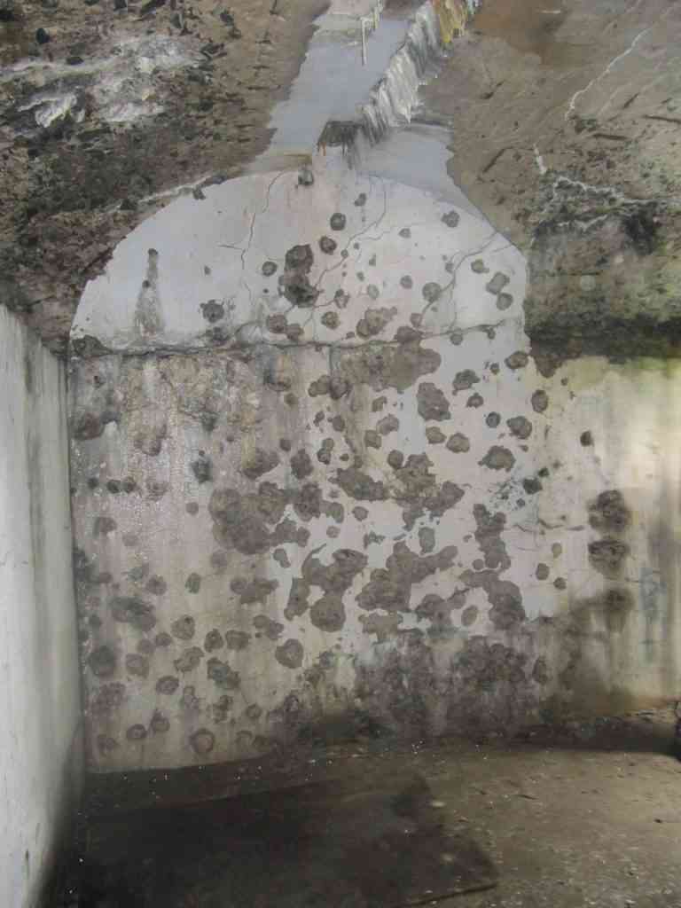 How to Get Rid of Moulds – Basic Tips