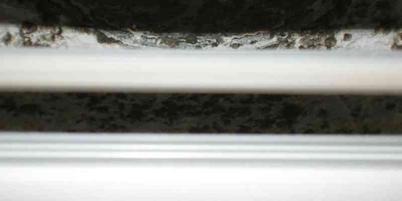 mold on air conditioner