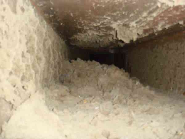 Moulds and Health Problems