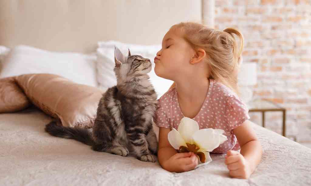 Why should we change the way we clean, sanitize, & disinfect?