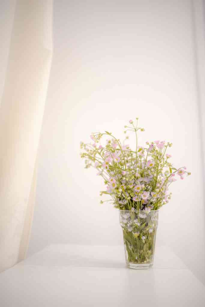Reasons You Have Air Conditioning Vent Odor