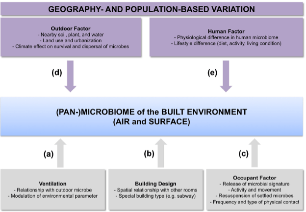 Figure Factors Impacting the Development of Microbiomes of the Built Environment