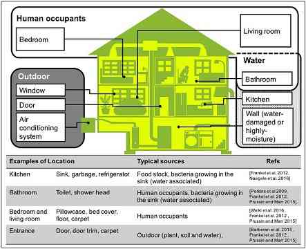 Figure Typical Sources of Airborne Microbiomes in Residential Built Environment