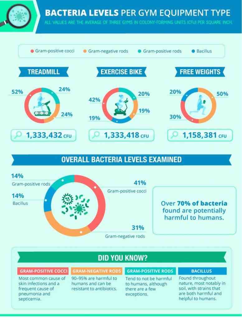 Figure Bacterial Levels Per Gym Equipment Type